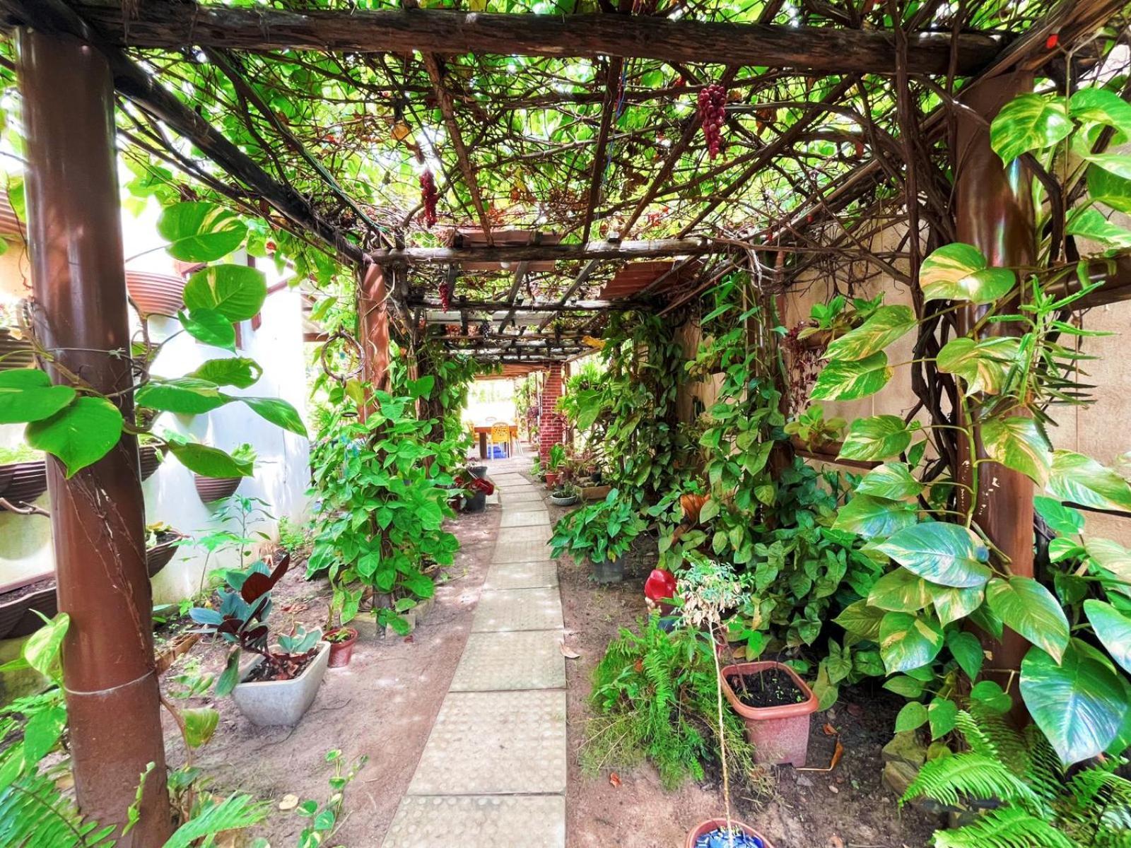 Suite Nete Andrade Ponta De Mangue มาราโกจี ภายนอก รูปภาพ